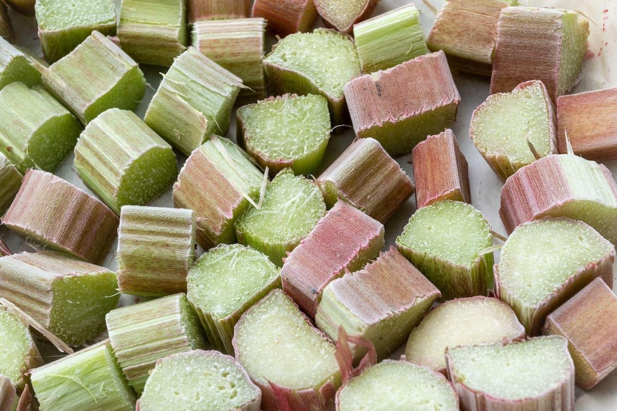 can you freeze rhubarb