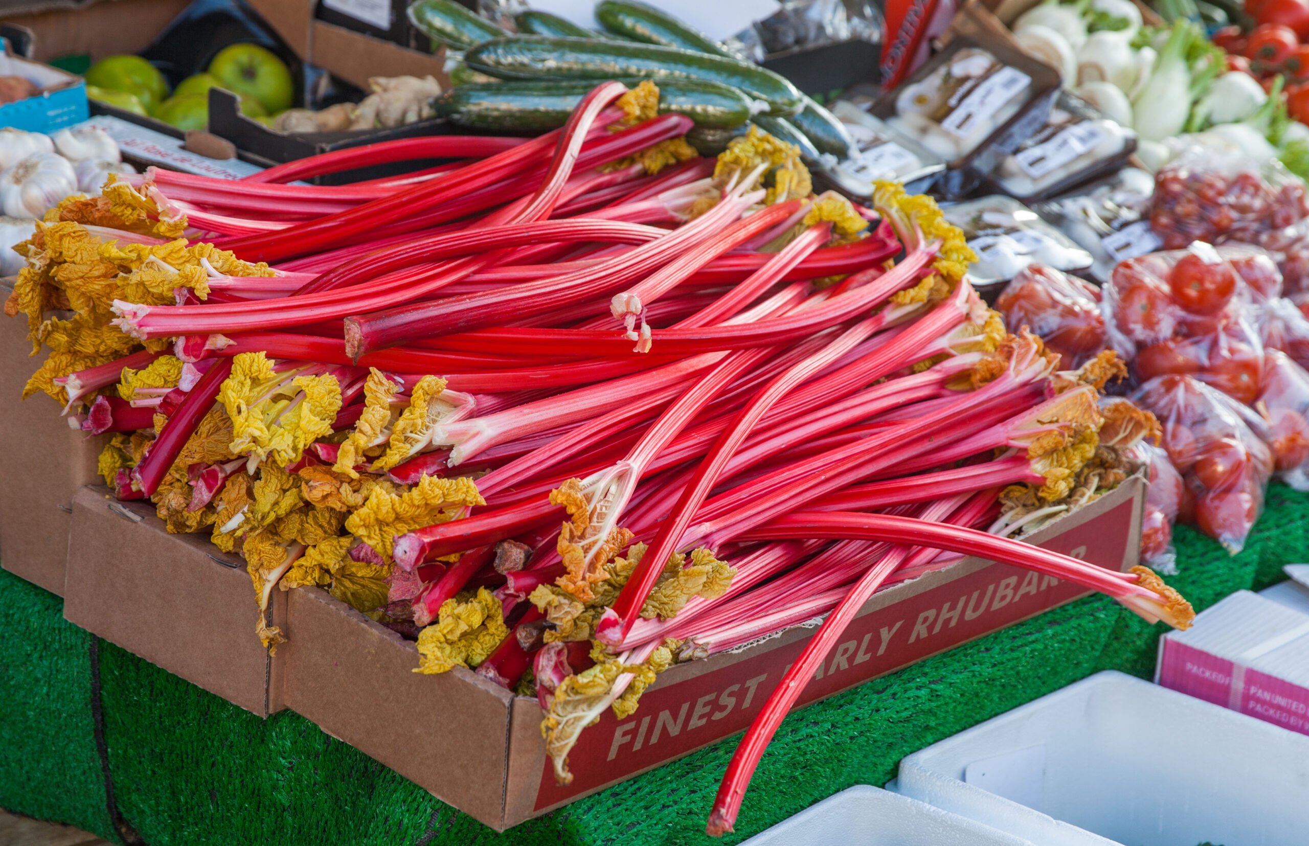 rhubarb