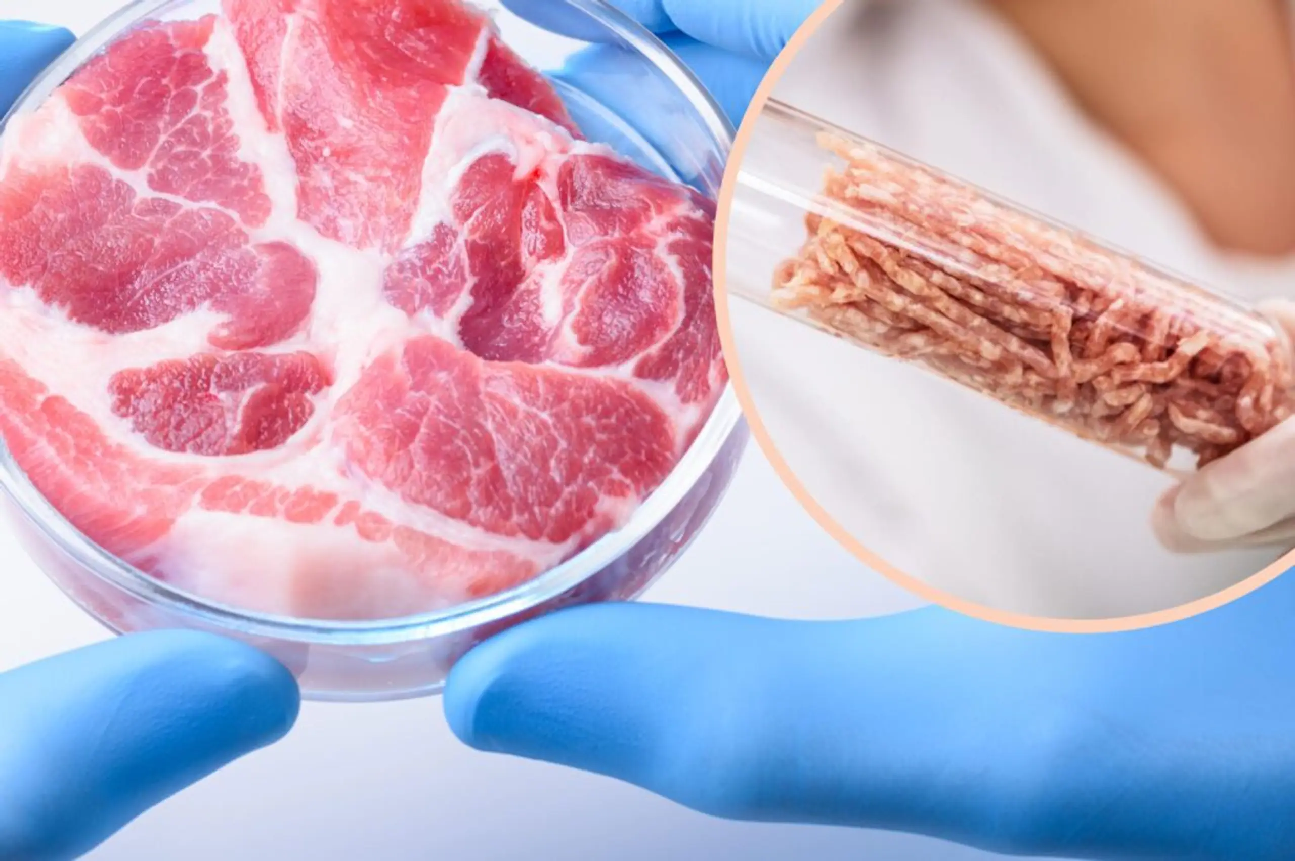 Italy is set to approve a ban on lab-grown meat