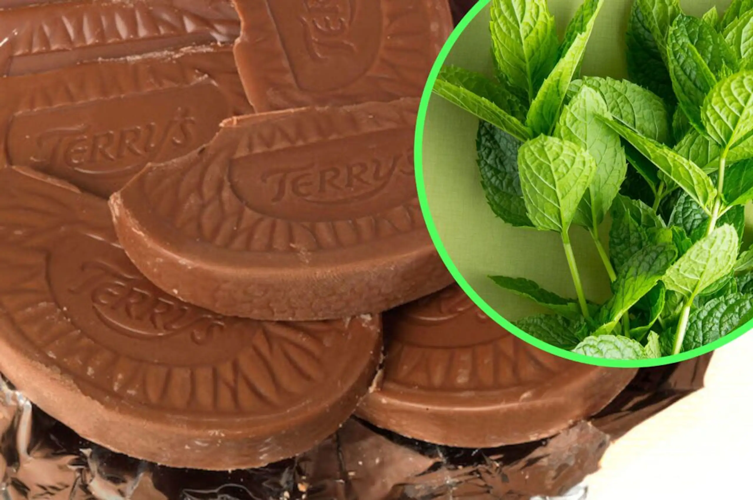 Terry’s Chocolate Orange Mint is apparently on the way