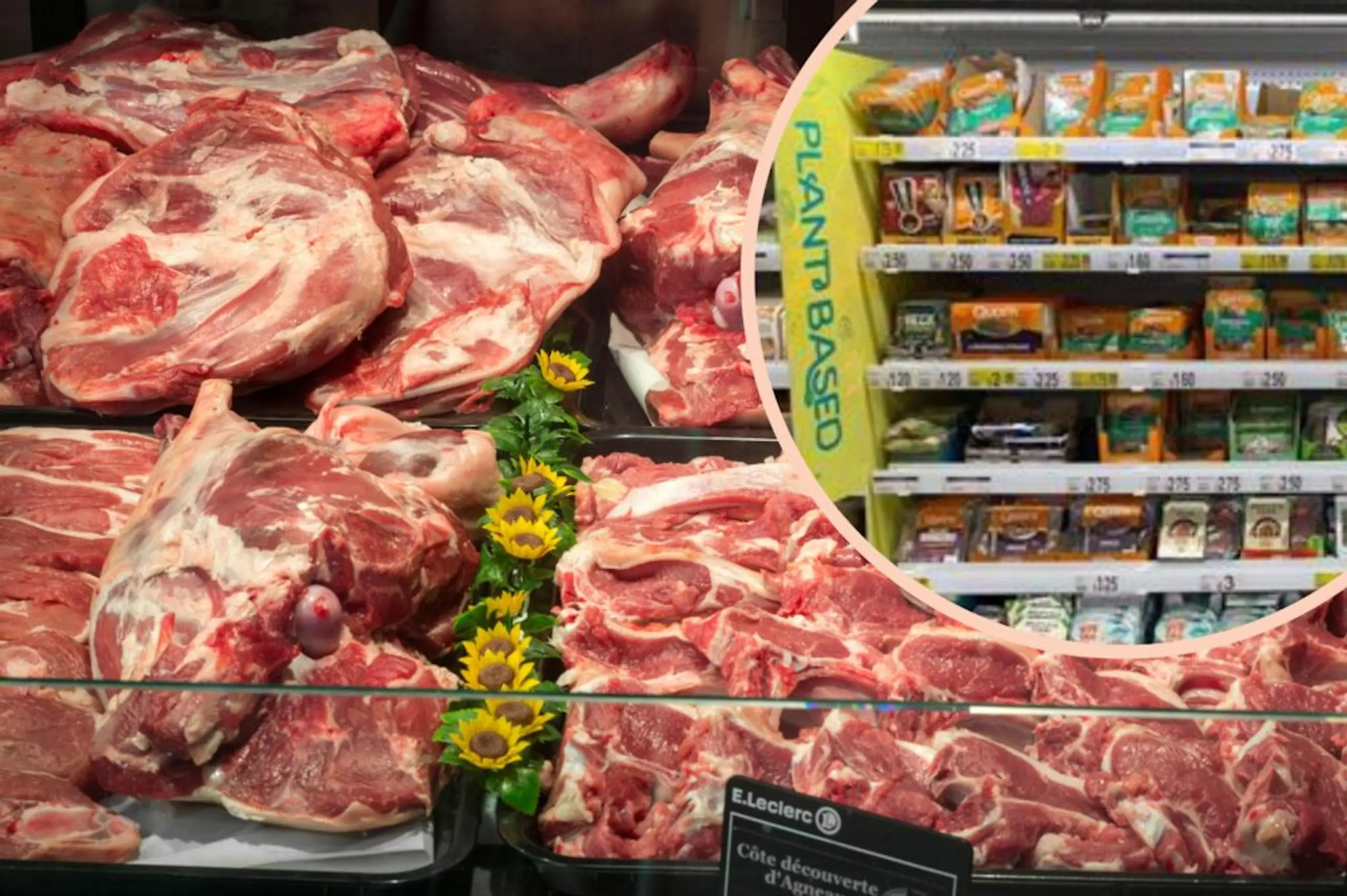 Supermarkets encouraged to invest in vegan replacements as meat and milk sales drop