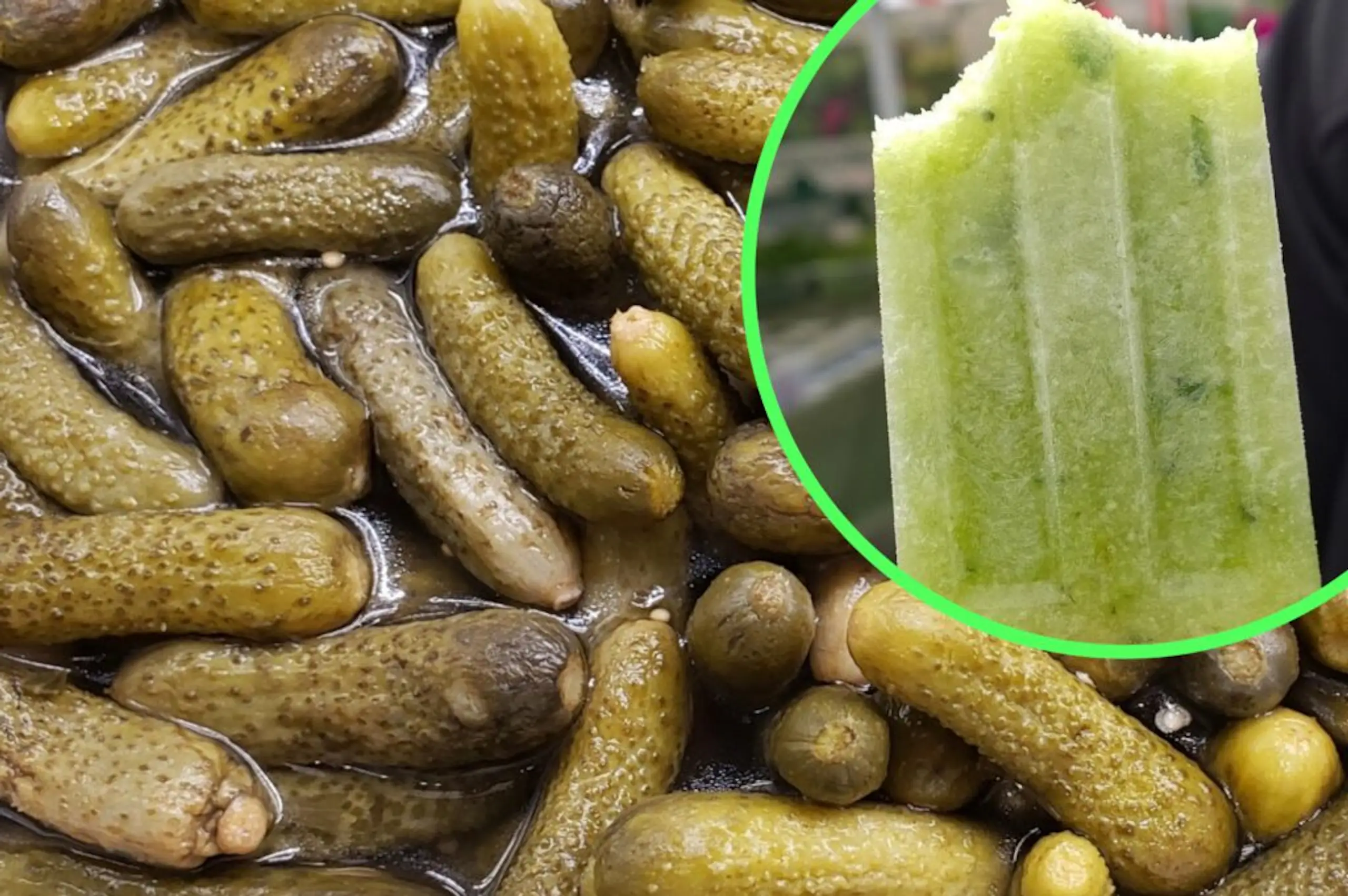 Pickle ice pops are taking over the internet but they’ve seriously divided opinion