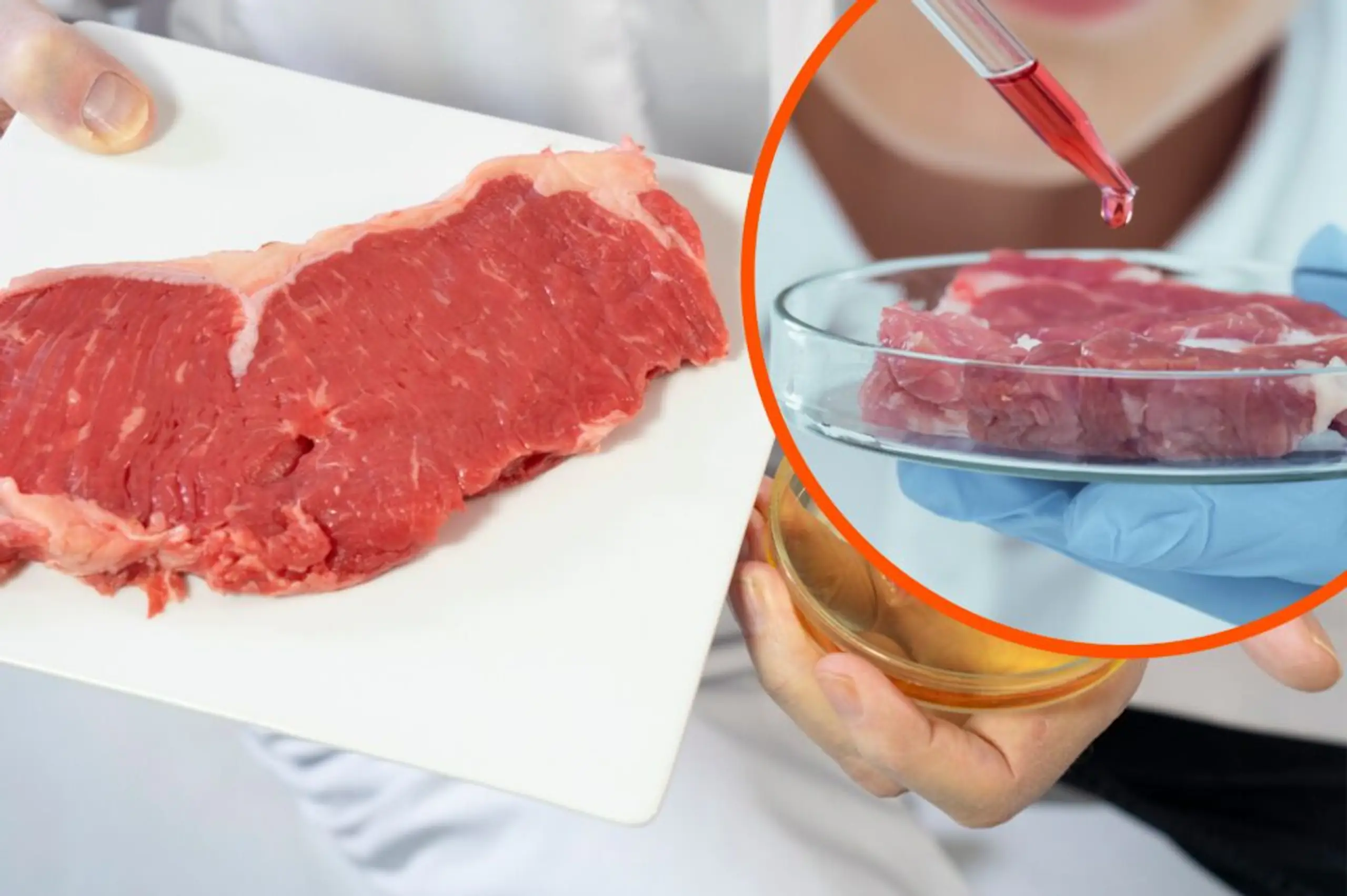 Lab-grown meat approved for sale in the US