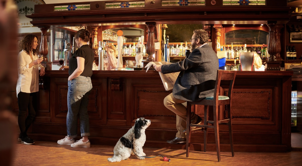 dog in pub