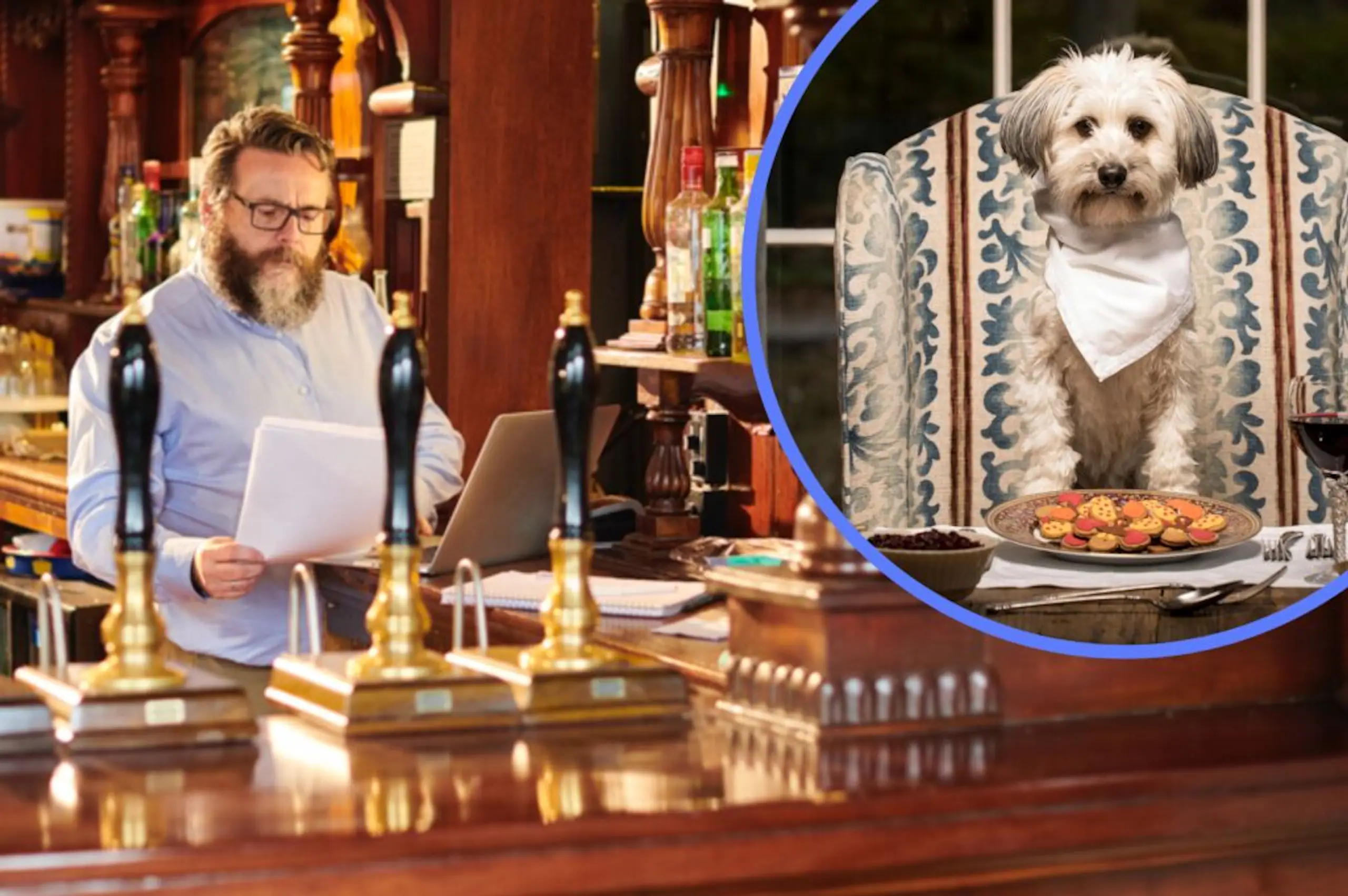 Pub launches ‘traditional’ dog menu including roasts, burgers, and fish and chips