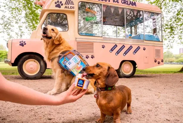 aldi doggy ice cream dog