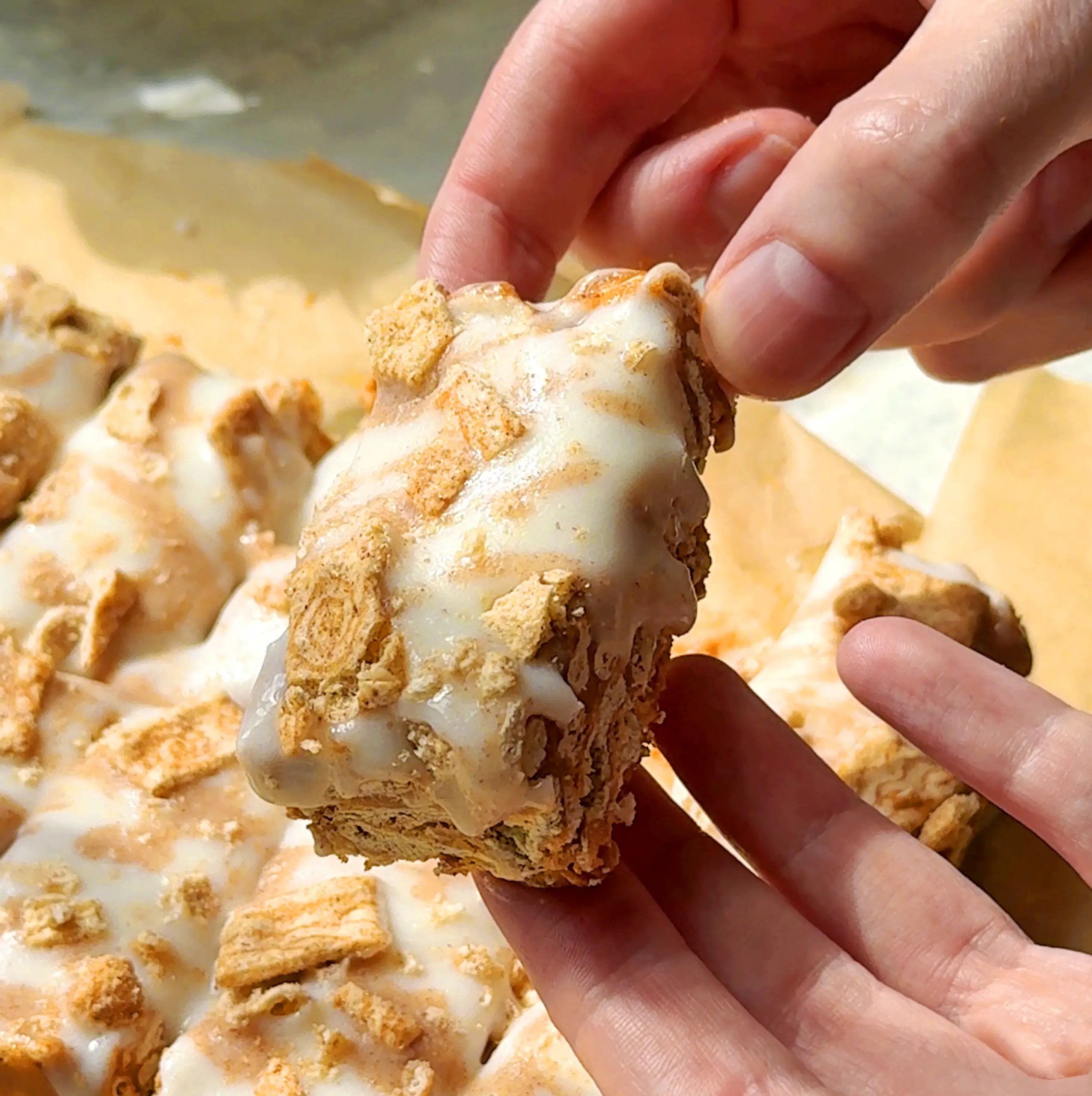 Cin Crunch Bars.jpg