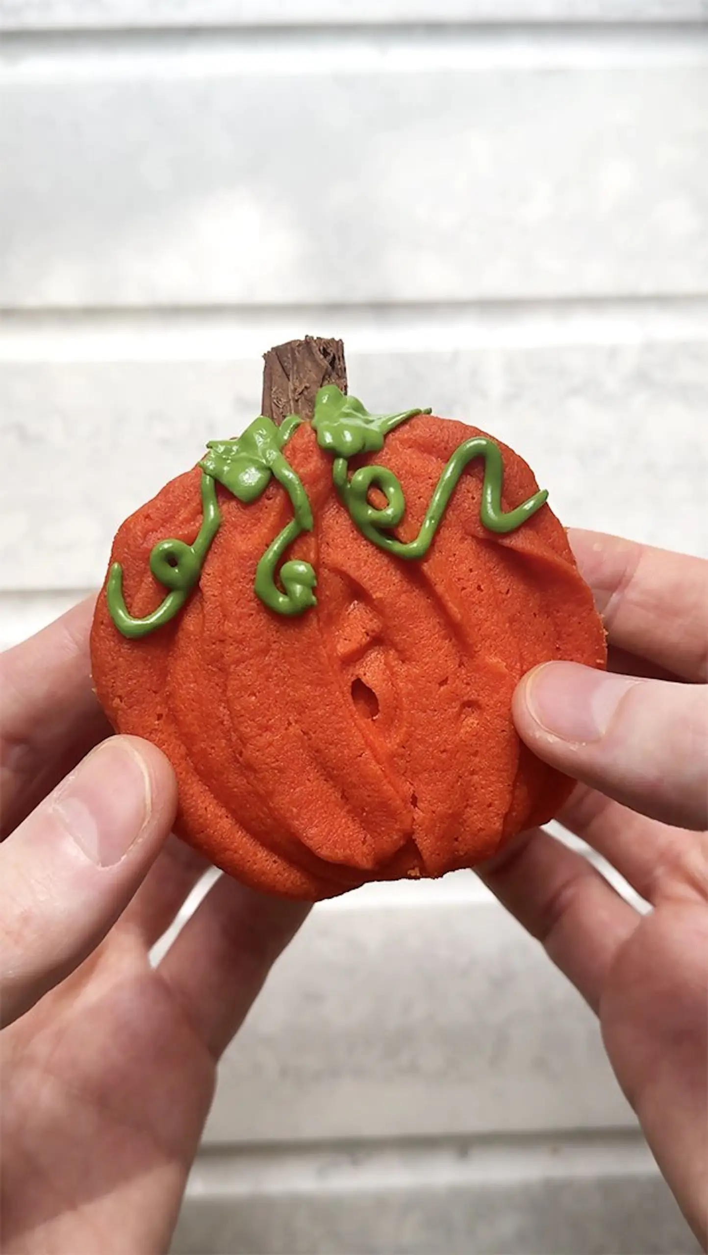 pumpkin.jpg